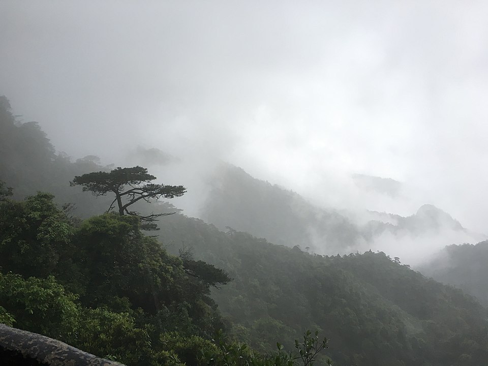 三清山云海